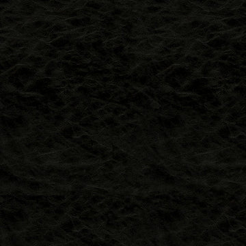 Lustrous Onyx