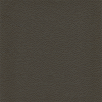 Titan